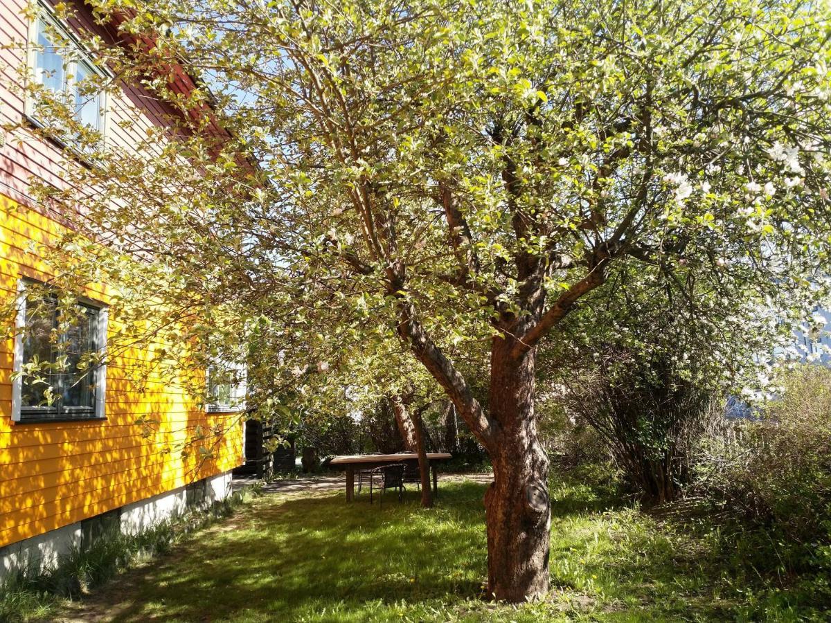 Renovated Semi- Basement 2 Bedrooms Furnished Apartment - Close To Everything In Moss Buitenkant foto